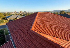 handyman-roof-cleaning-adelaide