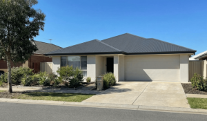 handyman roof works adelaide